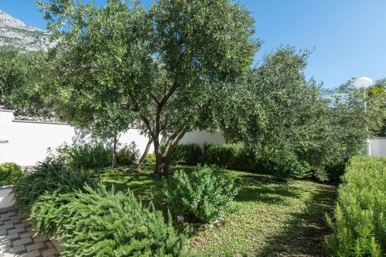 Nasa Kuca Bed & Breakfast - Adults Only Brist Esterno foto